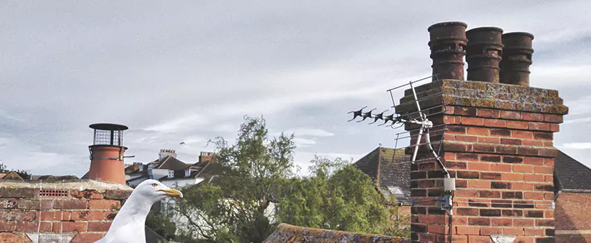 Chimney Cleaning And Restoration in Ocean Acres, New Jersey